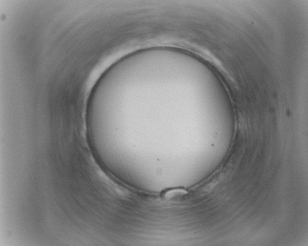 X0000071351512200607141942