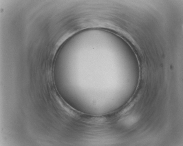 X0000071351513200607141942