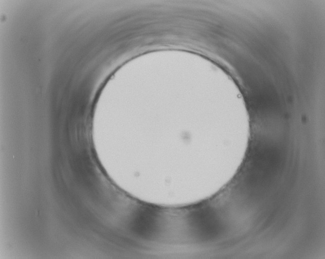 X0000071351514200607141942