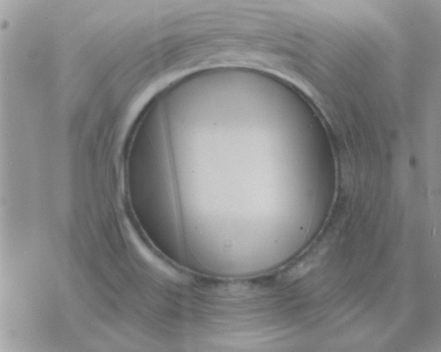 X0000071351515200607141942