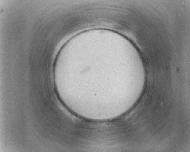 X0000071351516200607141942