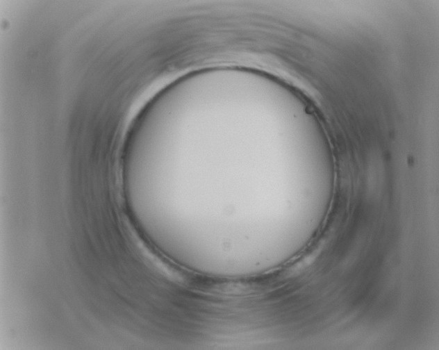 X0000071351517200607141942