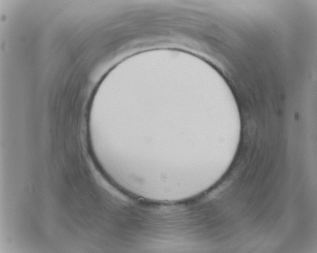 X0000071351518200607141942