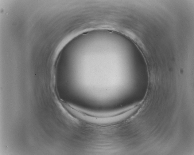 X0000071351520200607141943