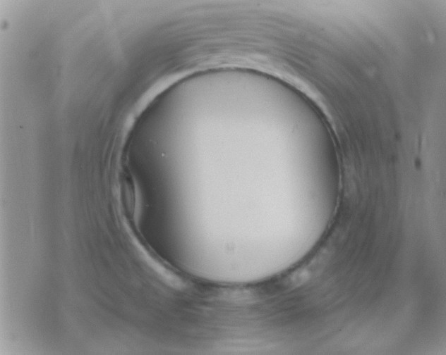 X0000071351525200607141943