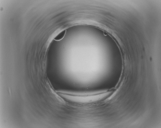 X0000071351529200607141943