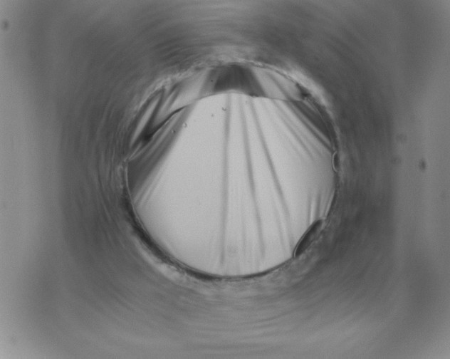 X0000071350009200607212108