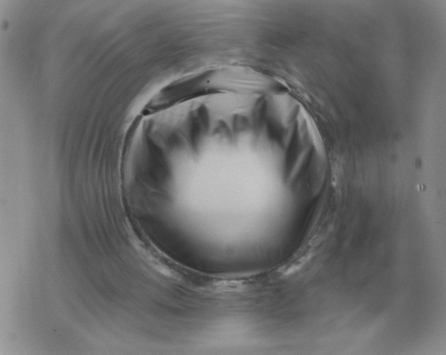 X0000071350052200607212107