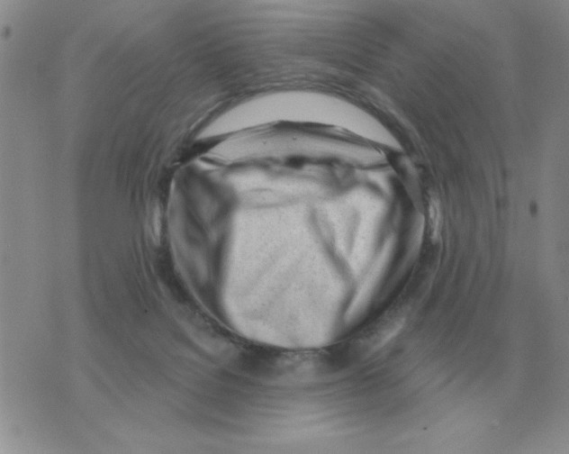 X0000071350076200607212107