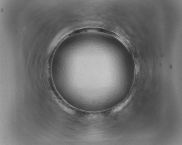X0000071350101200607212107