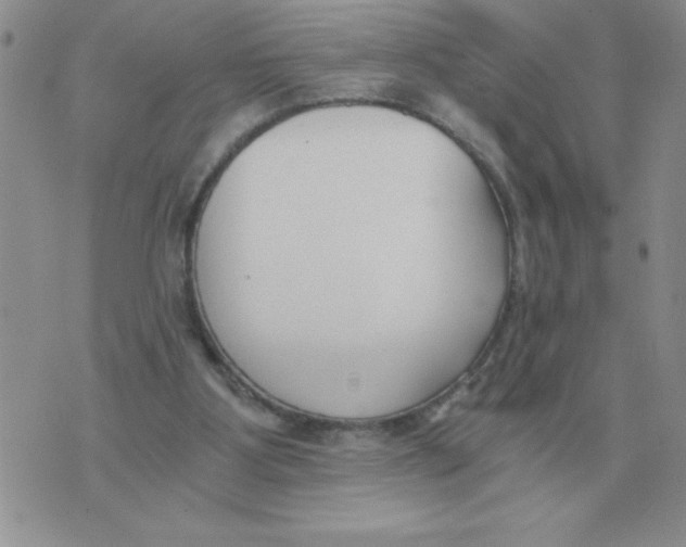 X0000071350107200607212107