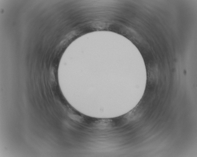 X0000071350128200607212106