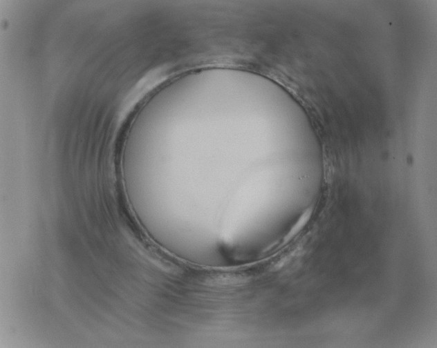 X0000071350198200607212105