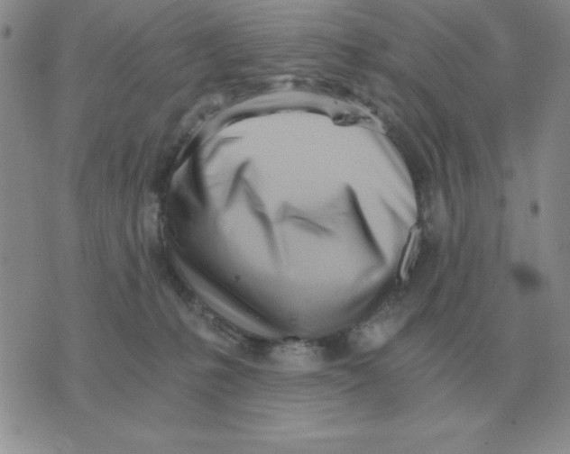 X0000071350231200607212105
