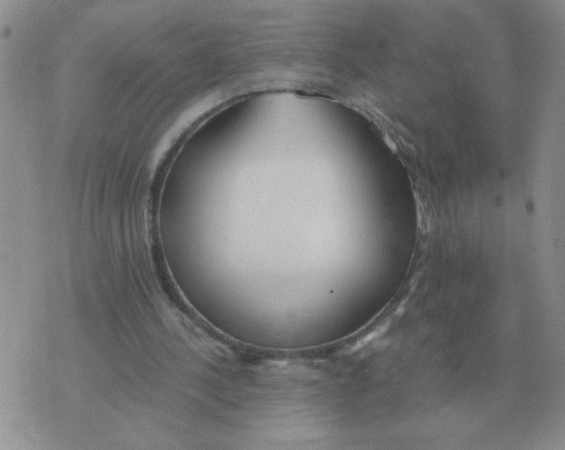X0000071350244200607212104