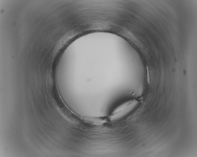 X0000071350252200607212104