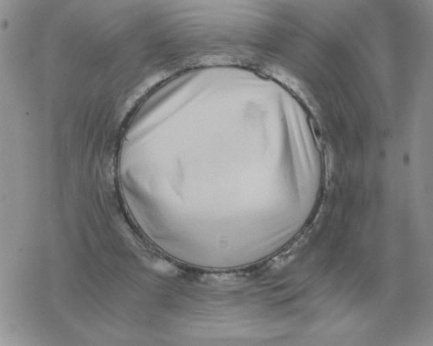 X0000071350297200607212104