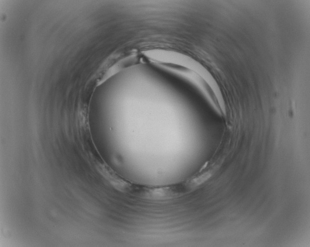 X0000071350382200607212103