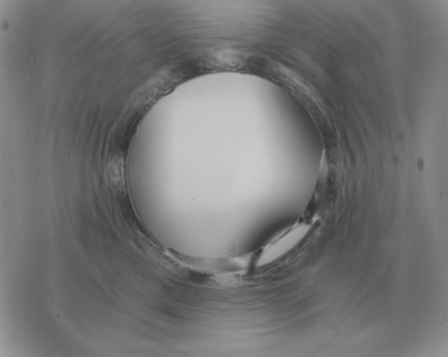 X0000071350425200607212102
