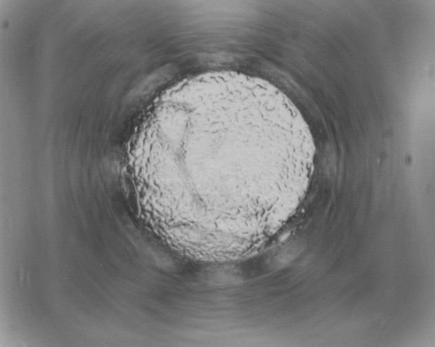 X0000071350427200607212102