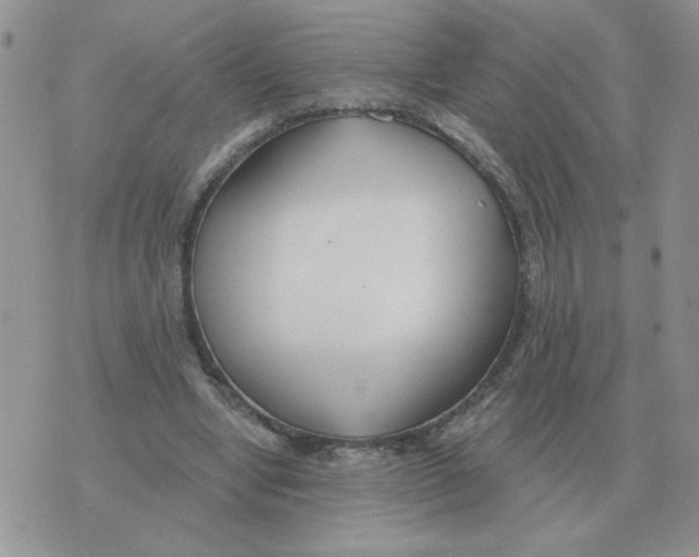 X0000071350442200607212101