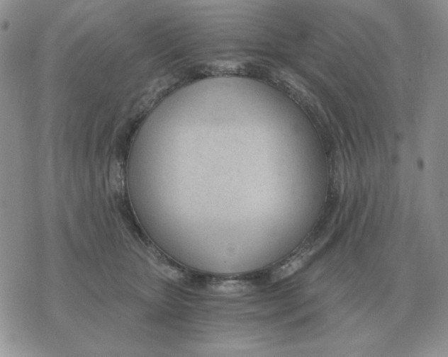 X0000071350467200607212101
