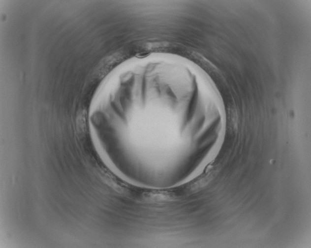 X0000071350475200607212101