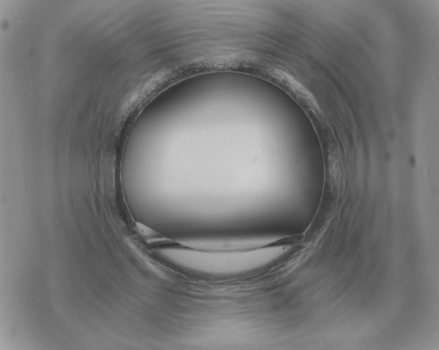 X0000071350493200607212101