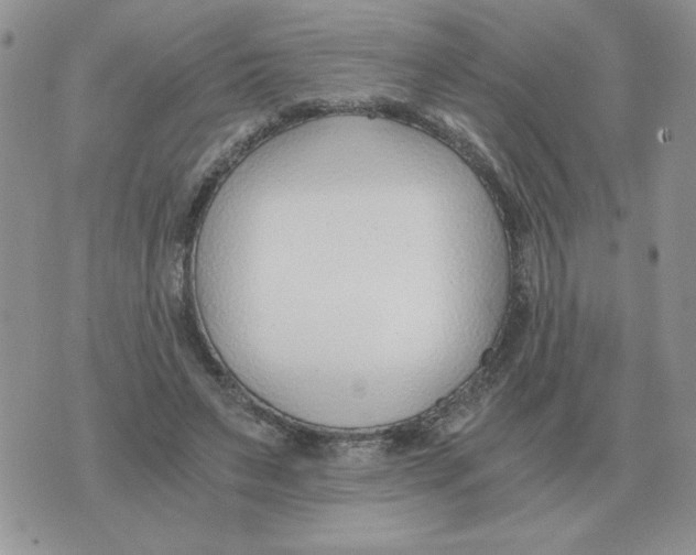 X0000071350495200607212101