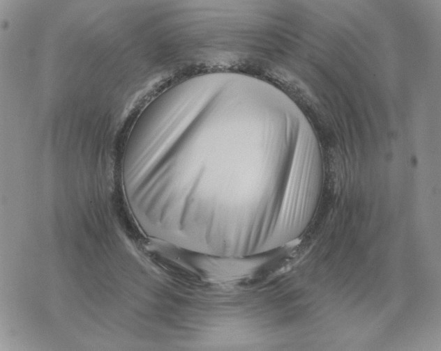 X0000071350496200607212101