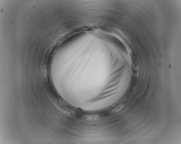 X0000071350500200607212100