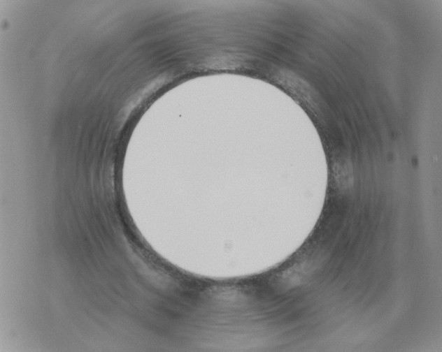 X0000071350534200607212059