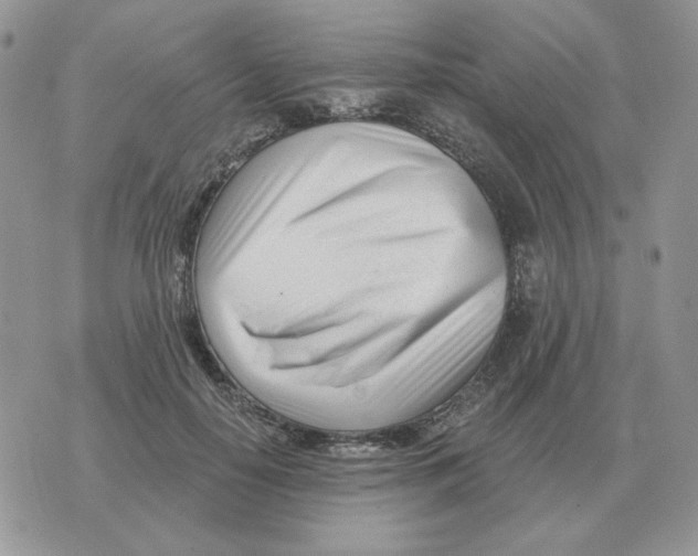 X0000071350650200607212058
