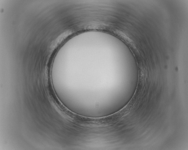 X0000071350678200607212058