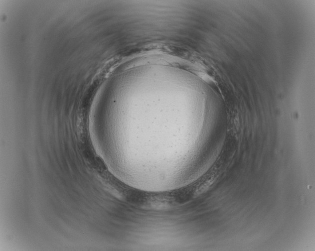 X0000071350708200607212057