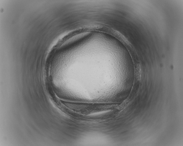 X0000071350726200607212056