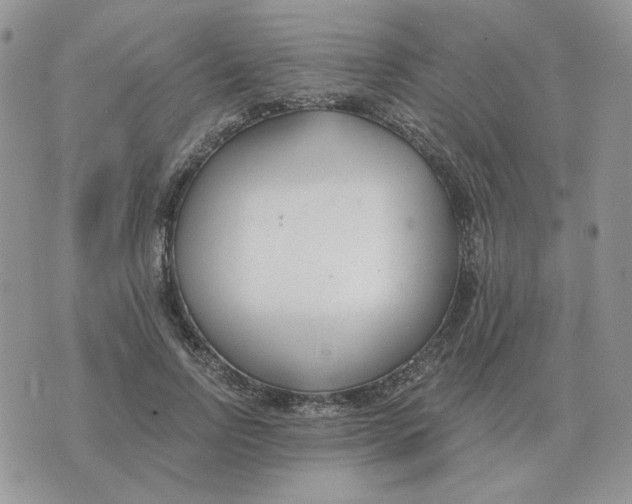 X0000071350742200607212056