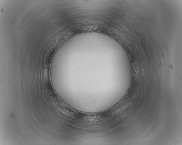 X0000071350745200607212057