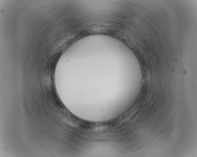 X0000071350746200607212057