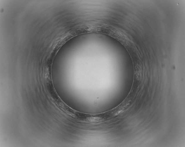 X0000071350748200607212057