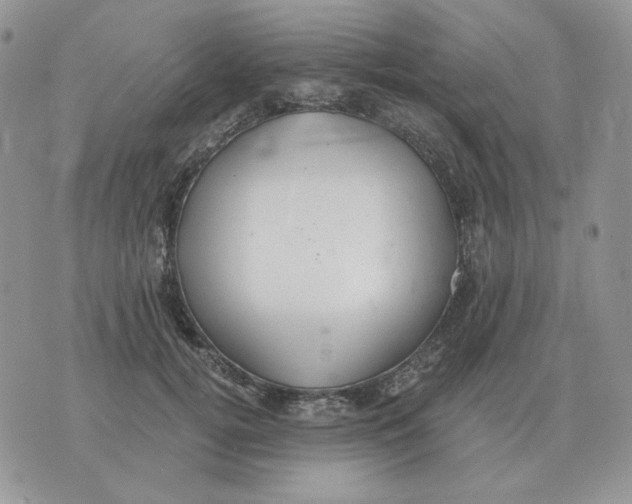 X0000071350752200607212057