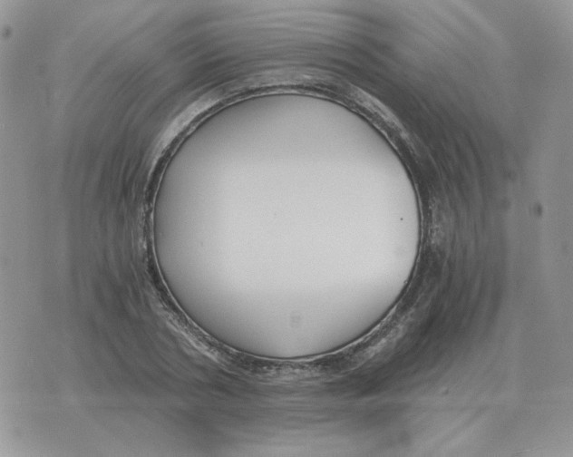 X0000071350786200607212056