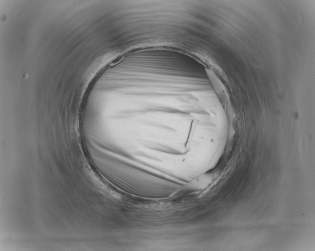 X0000071350797200607212056