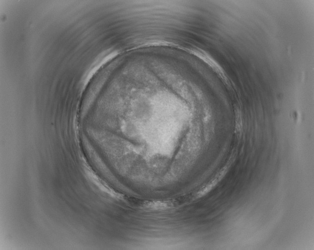 X0000071350806200607212055