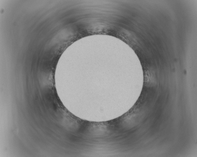 X0000071350820200607212055