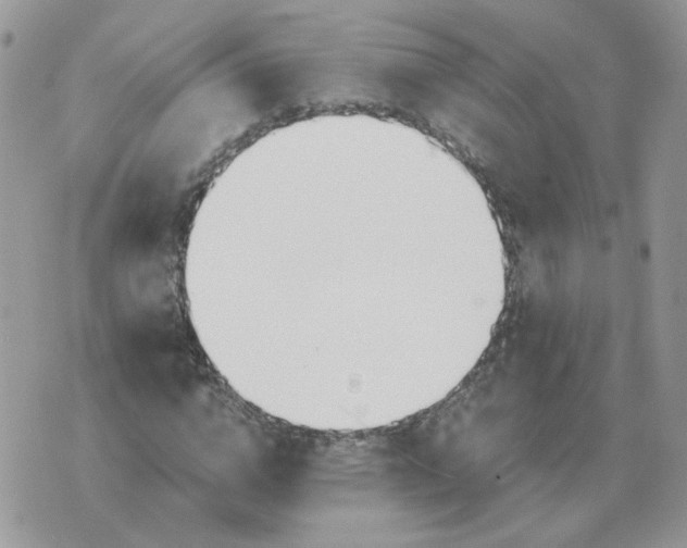 X0000071350824200607212055
