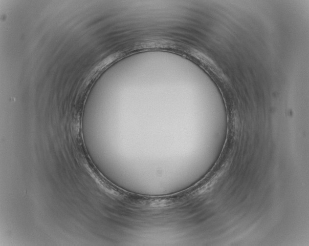 X0000071350841200607212055