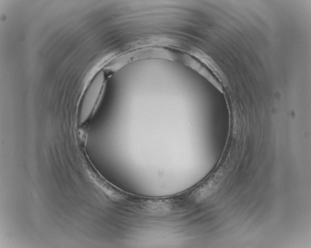 X0000071350850200607212055