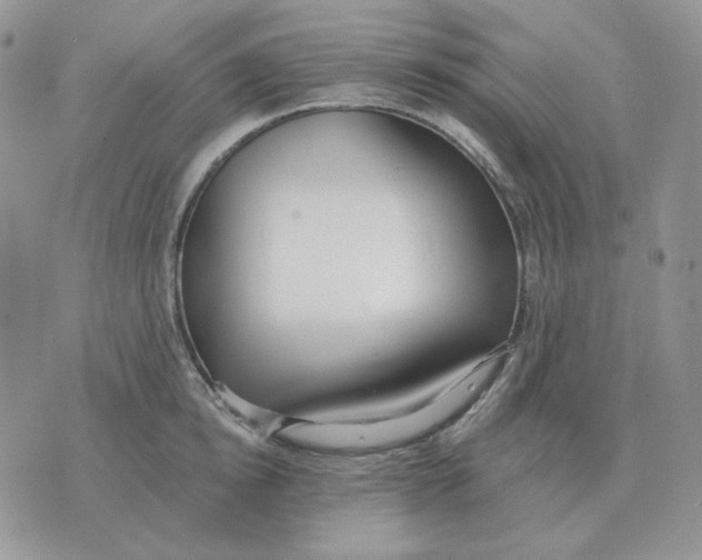 X0000071350854200607212055