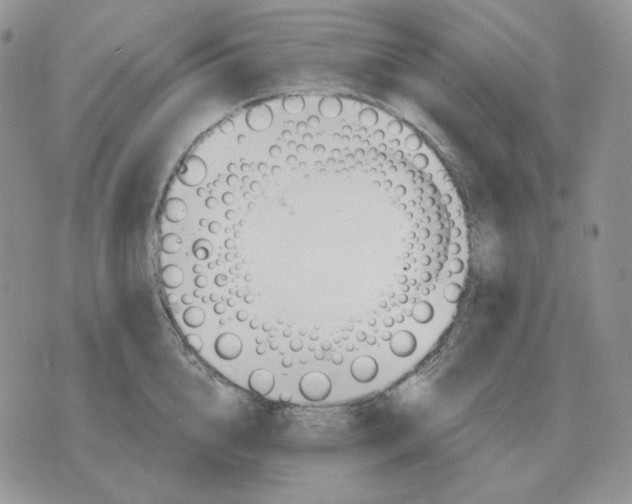 X0000071350856200607212055